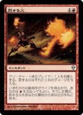 罰する火/Punishing Fire [ZEN-JPU]