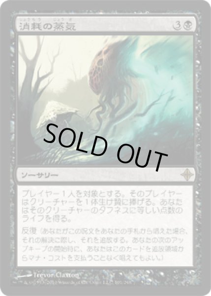 画像1: 消耗の蒸気/Consuming Vapors [ROE-052JPR] (1)