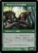 画像2: 【FOIL】ウルヴェンワルドの神秘家/Ulvenwald Mystics [ISD-056JPU] (2)