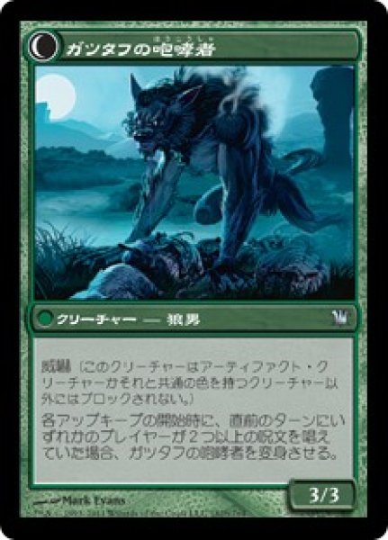 画像2: 【FOIL】ガツタフの羊飼い/Gatstaf Shepherd [ISD-056JPU] (2)