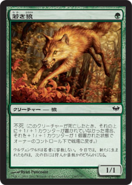 画像1: 若き狼/Young Wolf [DKA-057JPC] (1)