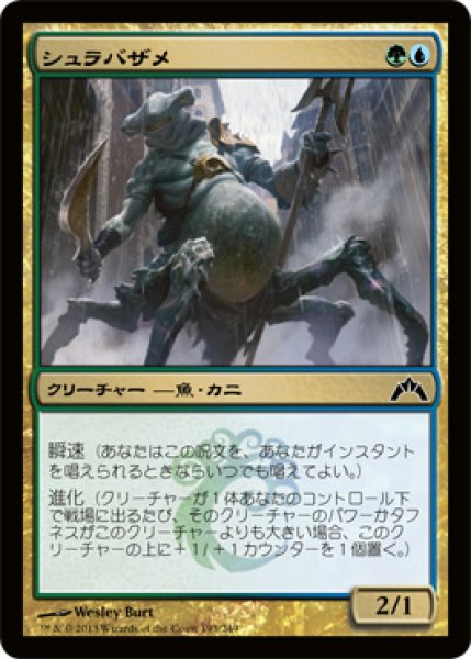 画像1: 【FOIL】シュラバザメ/Shambleshark [GTC-060JPC] (1)