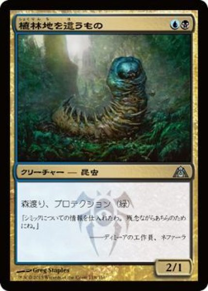 画像1: 【FOIL】植林地を這うもの/Woodlot Crawler [DGM-061JPU] (1)