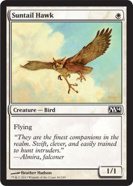 画像1: 【FOIL】陽光尾の鷹/Suntail Hawk [M14-ENC] (1)