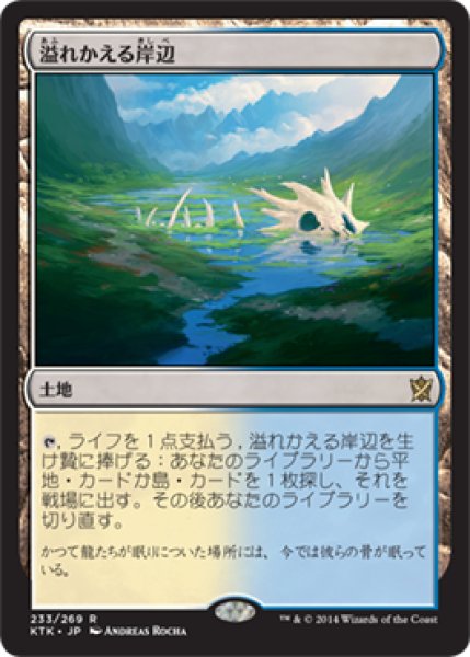 画像1: 【FOIL】溢れかえる岸辺/Flooded Strand [KTK-065JPR] (1)