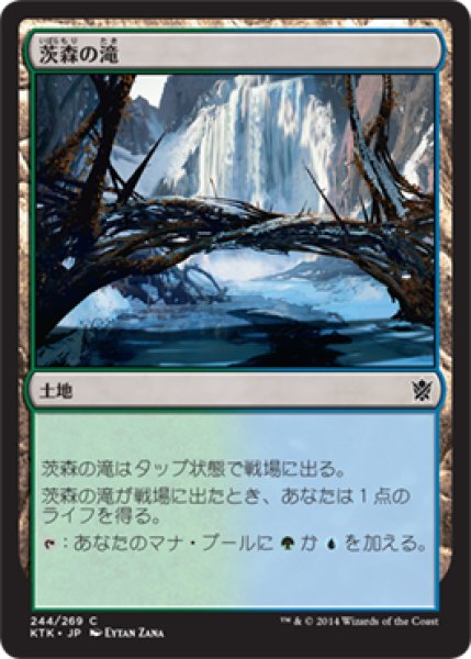 画像1: 【FOIL】茨森の滝/Thornwood Falls [KTK-065JPC] (1)