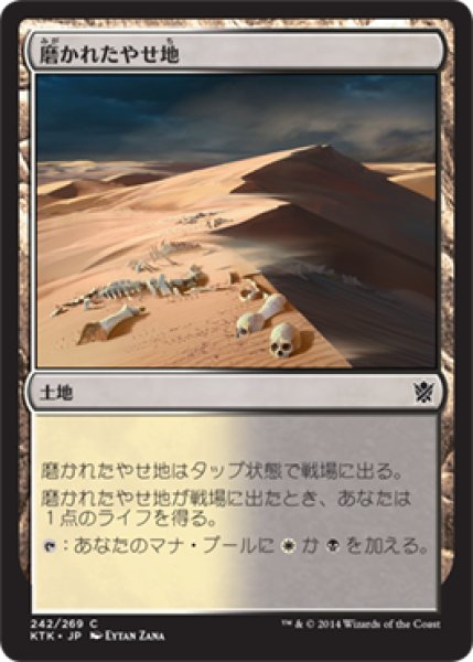 画像1: 【FOIL】磨かれたやせ地/Scoured Barrens [KTK-065JPC] (1)