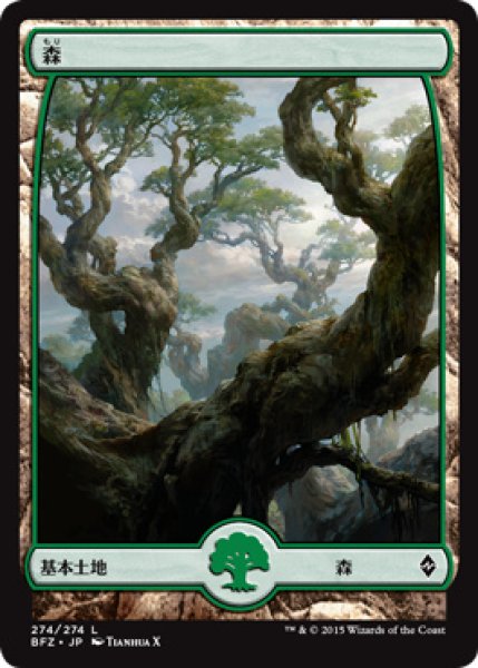 画像1: 森/Forest ＃274 [BFZ-068JPB] (1)