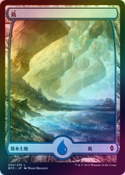 画像1: 【FOIL】島/Island ＃255 [BFZ-068JPB] (1)