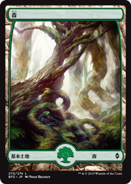 画像1: 森/Forest ＃270 [BFZ-068JPB] (1)