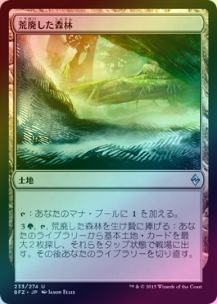 画像1: 【FOIL】荒廃した森林/Blighted Woodland [BFZ-068JPU] (1)