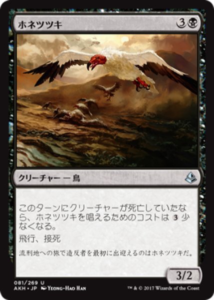 画像1: ホネツツキ/Bone Picker [AKH-074JPU] (1)