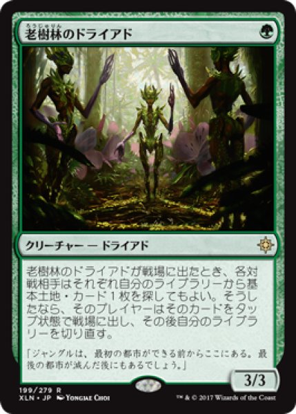 画像1: 【FOIL】老樹林のドライアド/Old-Growth Dryads [XLN-076JPR] (1)