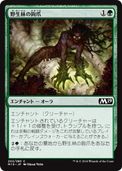 画像1: 【FOIL】野生林の鉤爪/Talons of Wildwood [M19-JPC] (1)