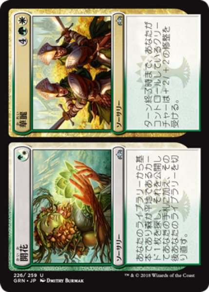 画像1: 開花＋華麗/Flower＋Flourish [GRN-079JPU] (1)