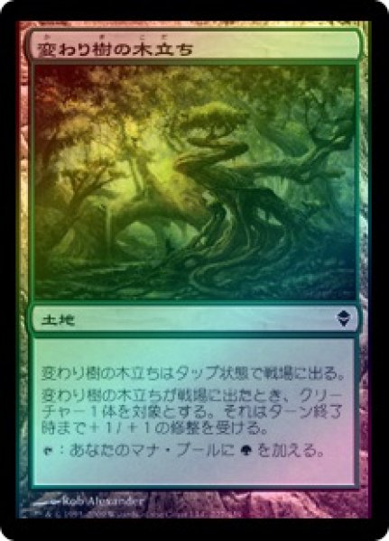 画像1: 【FOIL】変わり樹の木立ち/Turntimber Grove [ZEN-050JPC] (1)