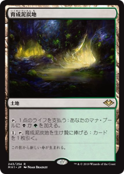 画像1: 【FOIL】育成泥炭地/Nurturing Peatland [MH1-A15JPR] (1)