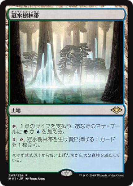 画像1: 冠水樹林帯/Waterlogged Grove [MH1-A15JPR] (1)