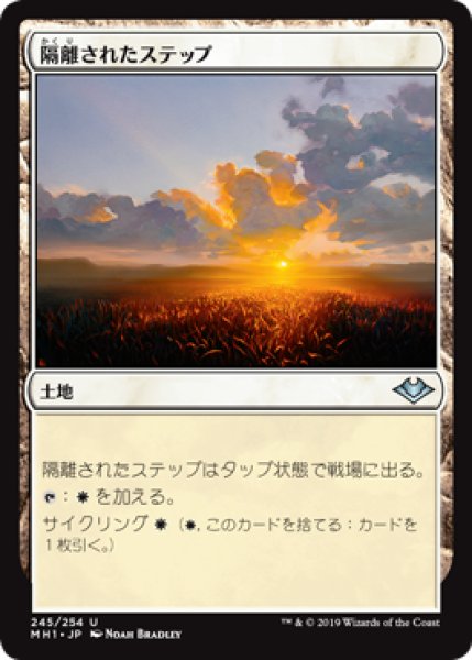 画像1: 【FOIL】隔離されたステップ/Secluded Steppe [MH1-A15JPU] (1)