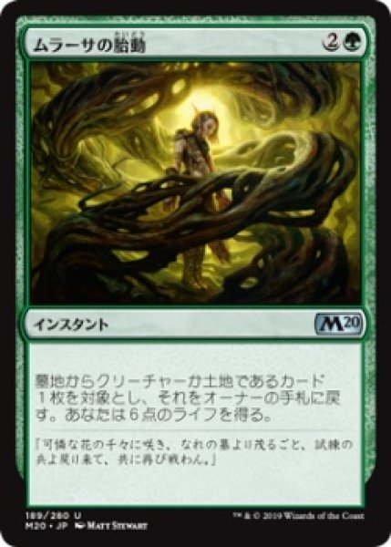 画像1: 【FOIL】ムラーサの胎動/Pulse of Murasa [M20-JPU] (1)