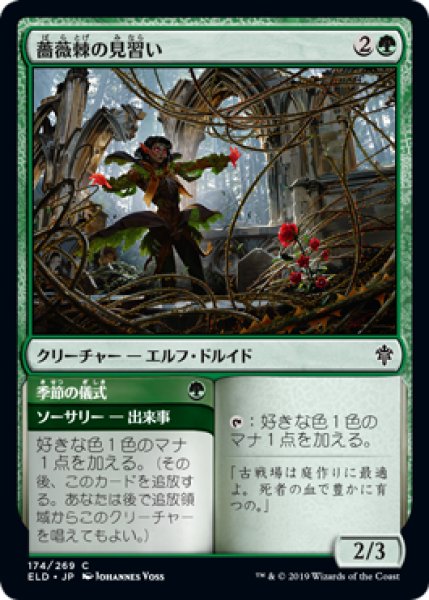 画像1: 薔薇棘の見習い/Rosethorn Acolyte [ELD-082JPC] (1)