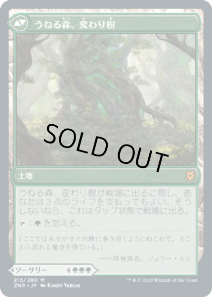 画像2: 変わり樹の共生/Turntimber Symbiosis [ZNR-085JPM] (2)