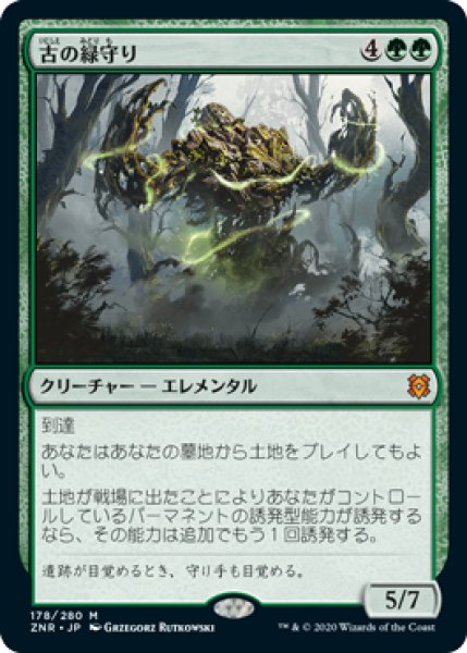 画像1: 【FOIL】古の緑守り/Ancient Greenwarden [ZNR-085JPM] (1)