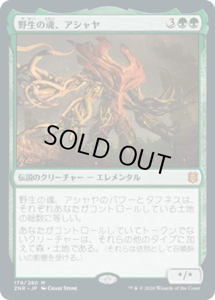 画像1: 野生の魂、アシャヤ/Ashaya, Soul of the Wild [ZNR-085JPM] (1)