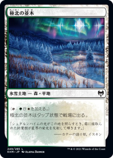 画像1: 極北の並木/Arctic Treeline [KHM-086JPC] (1)