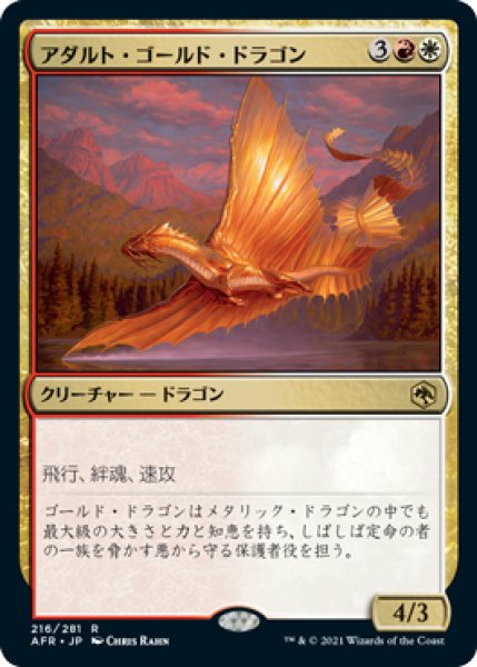 画像1: アダルト・ゴールド・ドラゴン/Adult Gold Dragon [AFR-088JPR] (1)