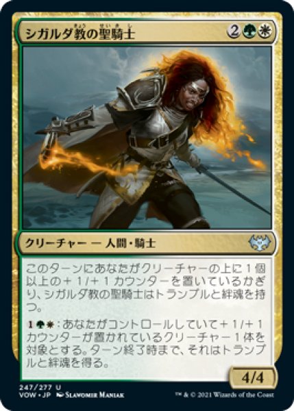 画像1: 【FOIL】シガルダ教の聖騎士/Sigardian Paladin [VOW-90JPU] (1)