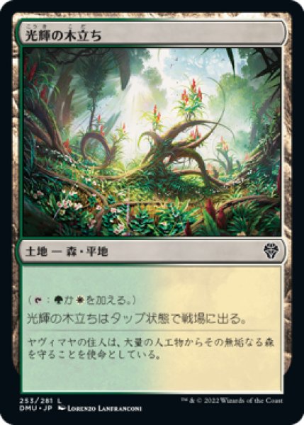 画像1: 【FOIL】光輝の木立ち/Radiant Grove [DMU-093JPC] (1)