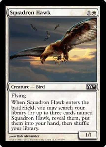 画像1: 戦隊の鷹/Squadron Hawk [M11‐ENC] (1)