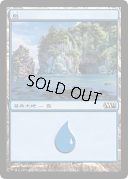 画像1: 【FOIL】島/Island ＃234 [M12-JPB] (1)